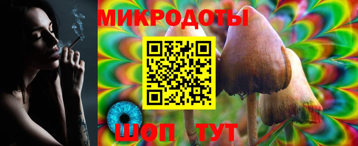 Спасск-Дальний  Псилоцибиновые грибы мицелий  Вход с VPN  Псилоцибиновые грибы MAGIC MUSHROOMS 
